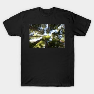 A View with a View T-Shirt